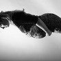 Фотографии УЗИ на 40-й неделе беременности