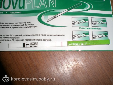 Вес во время беременности. Как узнать сколько нужно набрать во время Болят почки при беременности