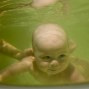 Фотографии малышей на 6-м месяце развития