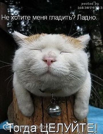 картинки как я рада смотреть