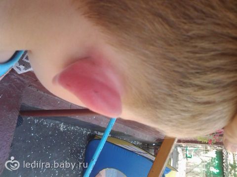 фото девочек на нудийском пляже