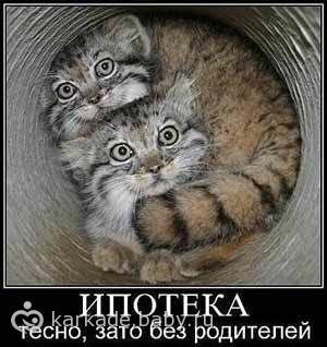 Ипотека!!! :)